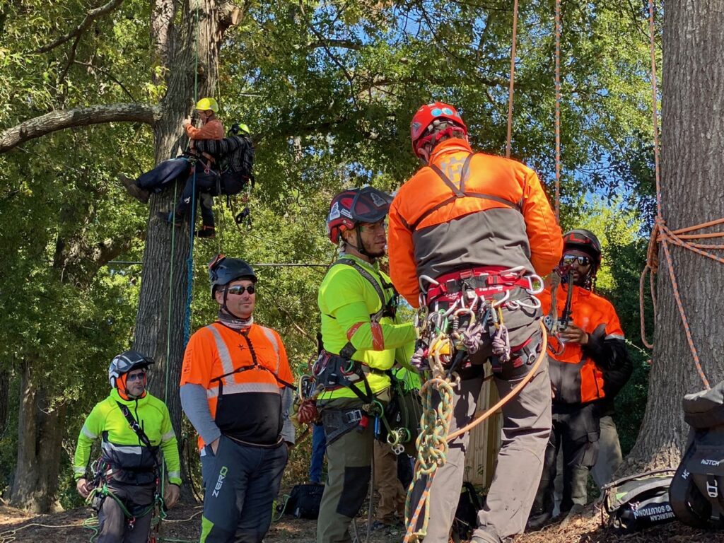 Arborists in safety gear during a training session outdoors, with one climbing a tree and others on the ground checking equipment. The group, wearing helmets and harnesses filled with climbing tools, is actively engaged in a hands-on learning environment surrounded by trees.